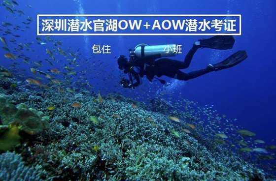 记单词有什么好方法