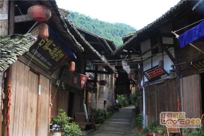 燃烧吧大脑免广告最新版